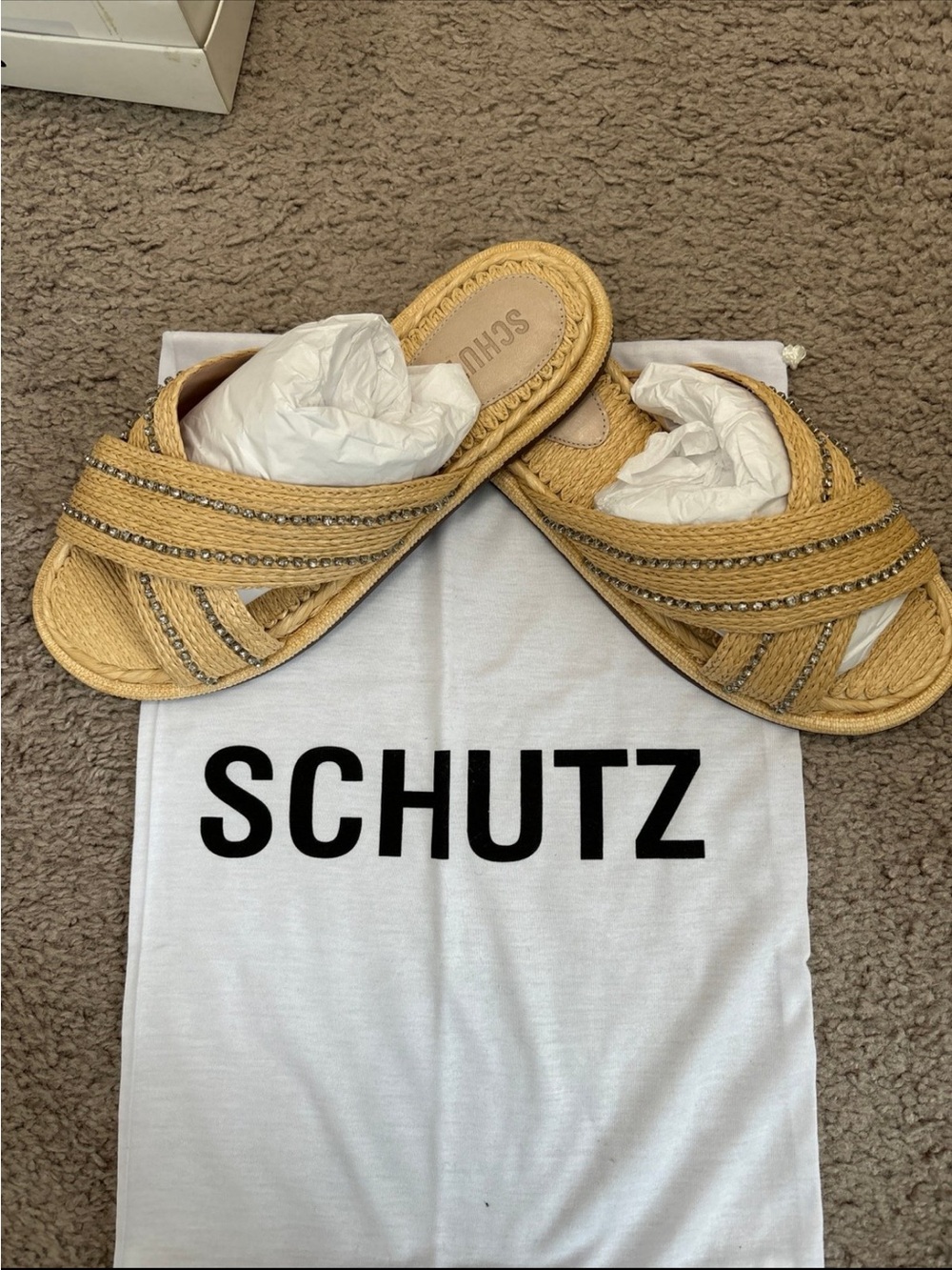 SCHUTZ Natural Straw Slide Mules with Metallic Trim